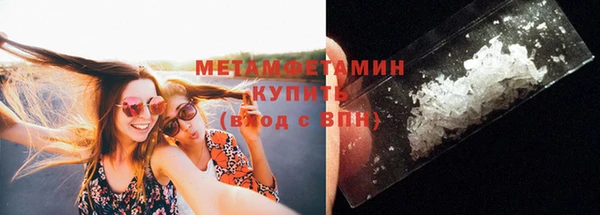 индика Верхний Тагил