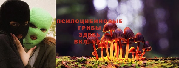 шишки Саяногорск