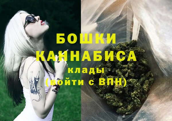 шишки Саяногорск