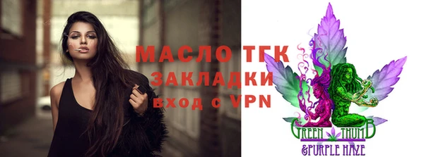 шишки Саяногорск