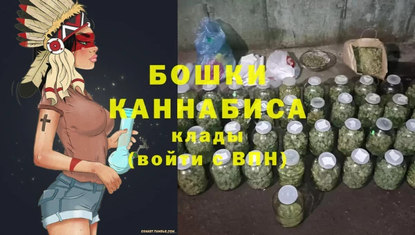 индика Верхний Тагил