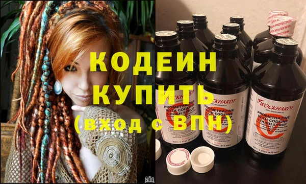 шишки Саяногорск