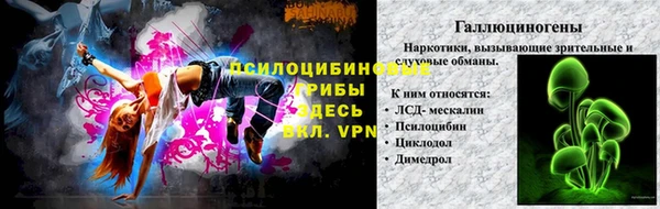 индика Верхний Тагил