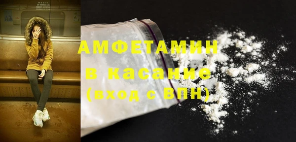 индика Верхний Тагил